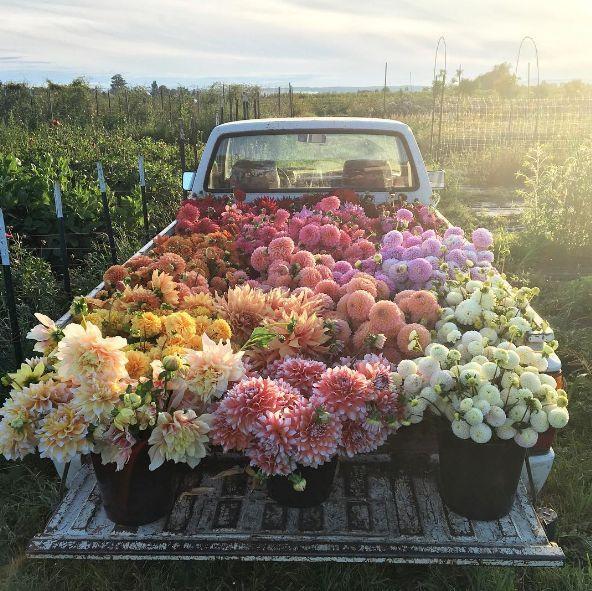 Sunset Splendor Vibrant Bouquet